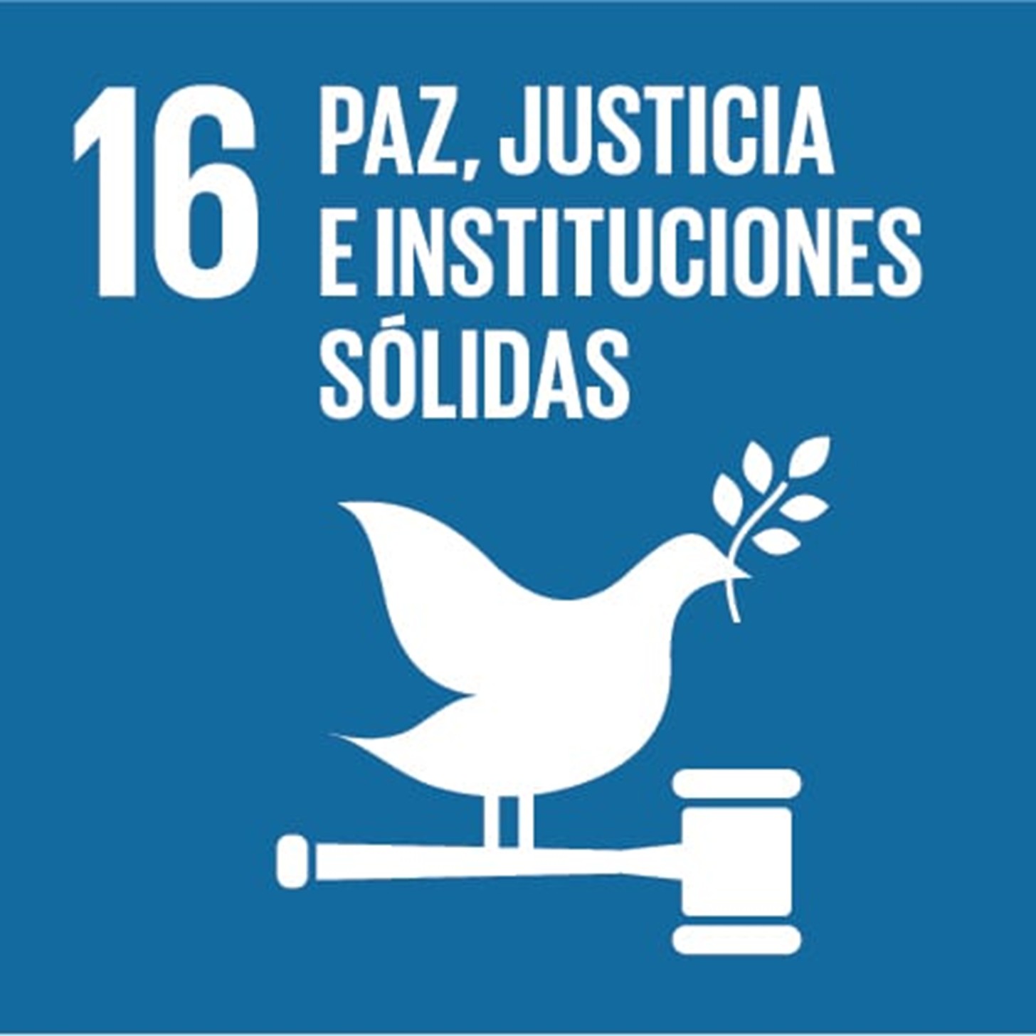 ODS 16: PAZ, JUSTICIA E INSTITUCIONES SÓLIDAS
